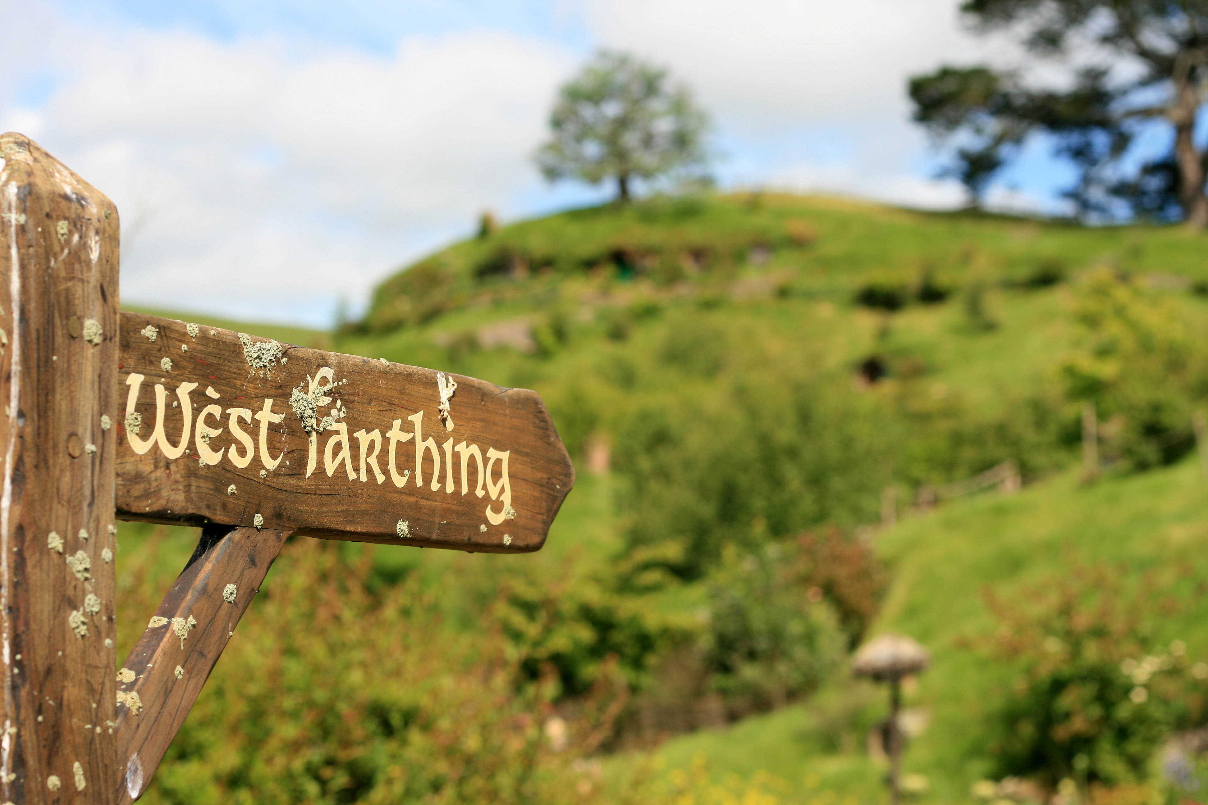 Book Recommendations: For Those who are Hobbits